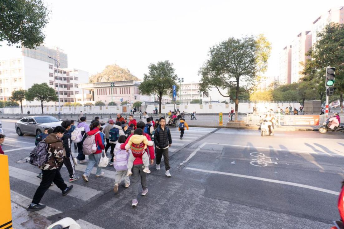 坚持党建引领 筑牢安全防线——“人保红绿灯”护航安全出行