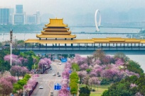 ���ǹ���չ��ƪ�����롰ɽˮ��ҵ���ǡ����ݵ��Ļ���������