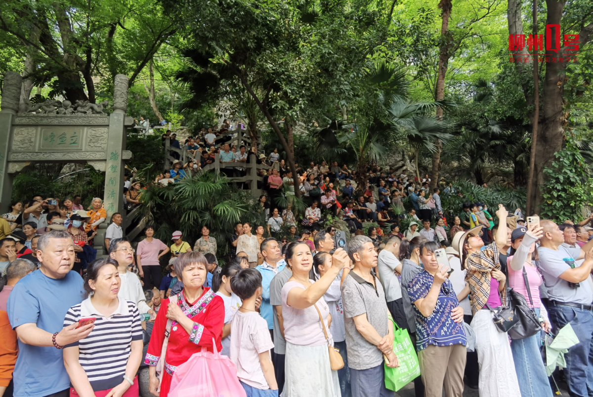 谁是最强“山歌王”？柳州“三月三”上演巅峰对决外国人都来参赛了！(图3)