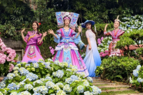 ����������ǡ�괺�٣�������������ȫ��Ʈ�죡