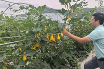 �˺ӿ���ݣ�ÿһ���˺�������û�б�����