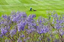 �����˵Ŀ��ֻ����ˣ���¹ɽ���ƺ4��30�ջָ����ţ�����һ��Լ��