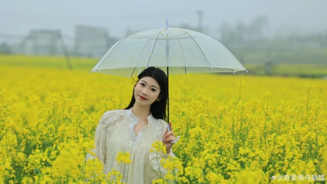 太火了！“春花浪漫漾广西”引爆全民创作，2万元奖金等你来拍！