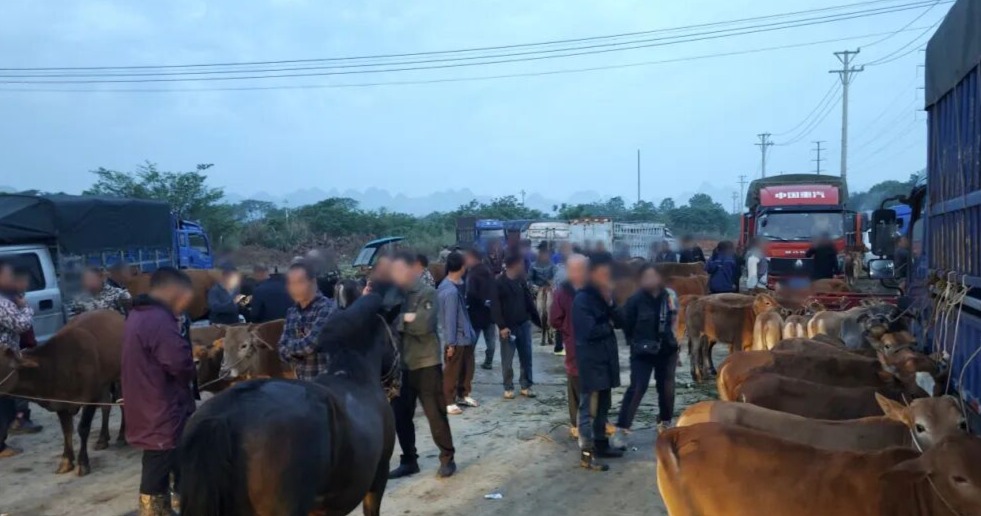 河池市宜州区发布情况通报