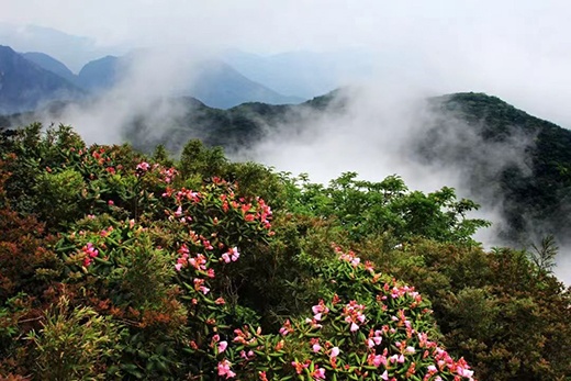 不止山水甲天下——花样经济点亮桂林生态文旅新赛道