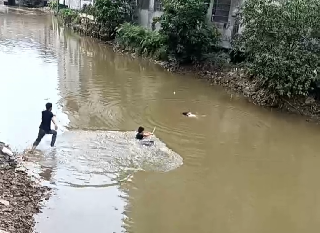 “救人是本能，不是为了嘉奖！”广西3名男子5分钟接力救下落水少女