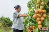 ����ƽ�Ϲ�����Ƥӭ���� ��ũ��ժ����æ