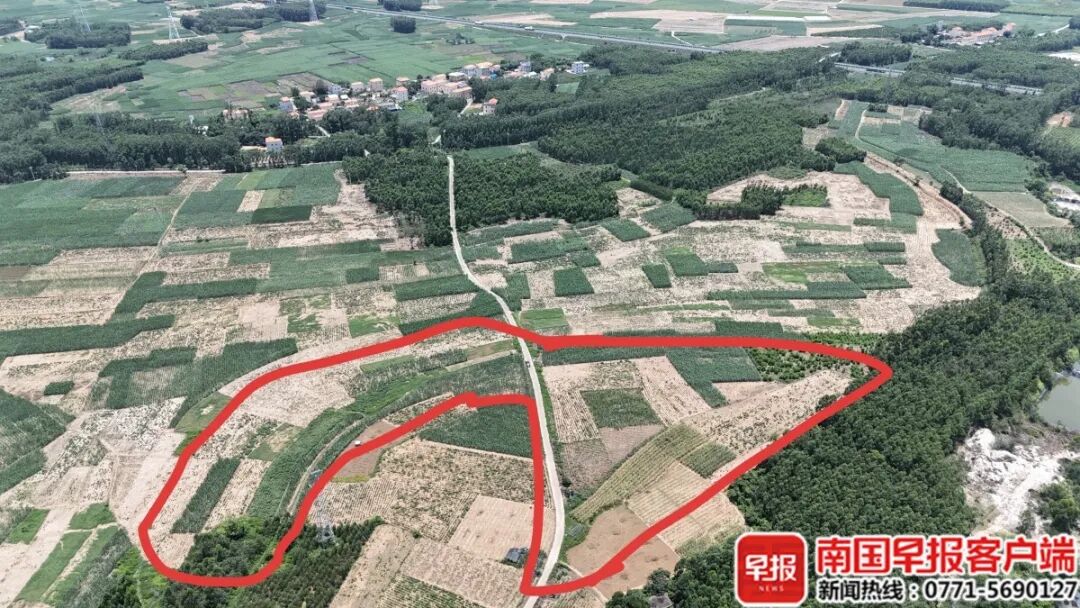 40余亩土地撂荒四五年，几任班子“击鼓传花”十七载！北海这宗土地纠纷“骨头案”还要“啃”多久？