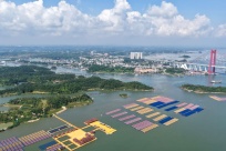 向海，碧波万顷党旗红